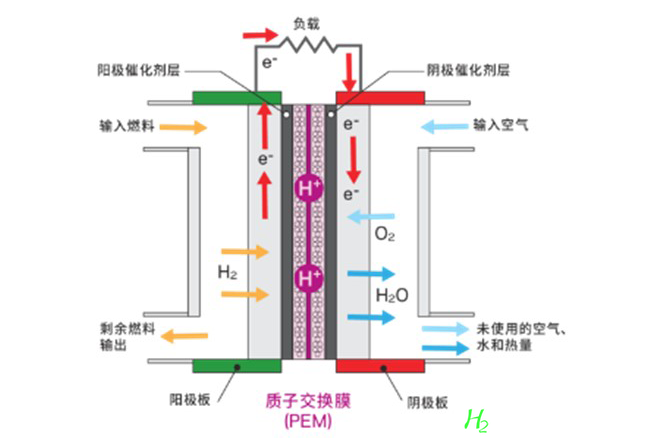 科慕Nafion™质子交换膜：高性能材料引领“绿氢”新路径
