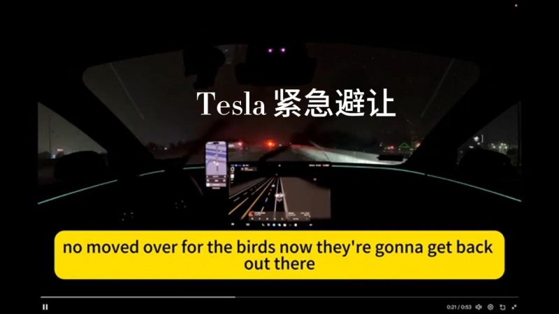 自动驾驶中的Tesla 学会了紧急避让